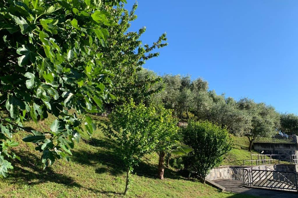 Cozy House On Iseo Lake Fonteno Exterior photo